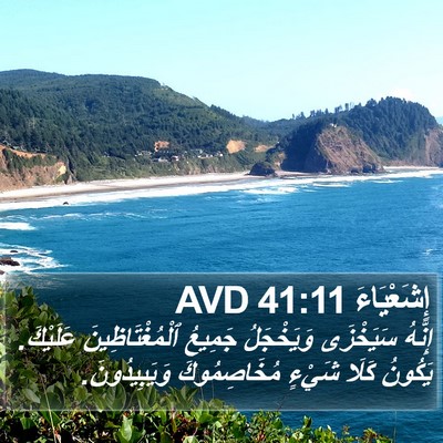 إِشَعْيَاءَ 41:11 AVD Bible Verse Image