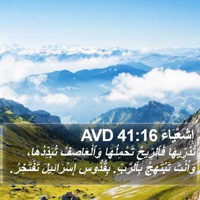 إِشَعْيَاءَ 41:16 AVD Bible Verse Image