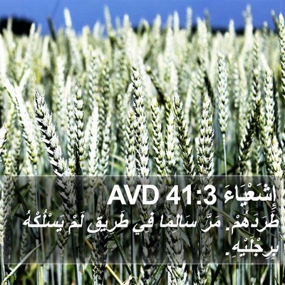 إِشَعْيَاءَ 41:3 AVD Bible Verse Image