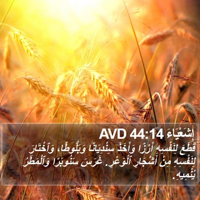 إِشَعْيَاءَ 44:14 AVD Bible Verse Image