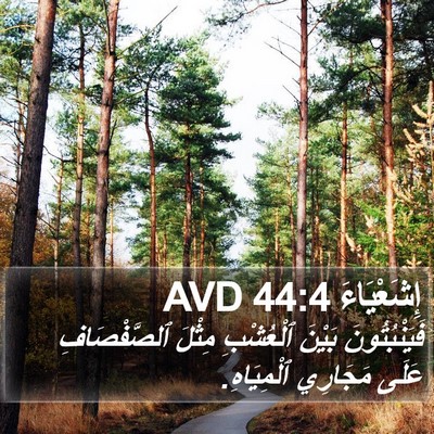 إِشَعْيَاءَ 44:4 AVD Bible Verse Image