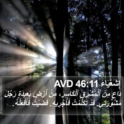إِشَعْيَاءَ 46:11 AVD Bible Verse Image
