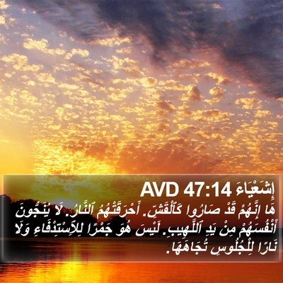 إِشَعْيَاءَ 47:14 AVD Bible Verse Image