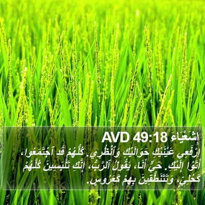 إِشَعْيَاءَ 49:18 AVD Bible Verse Image