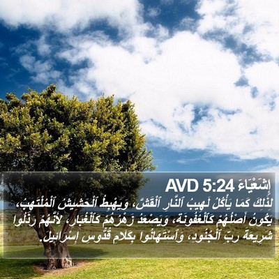 إِشَعْيَاءَ 5:24 AVD Bible Verse Image