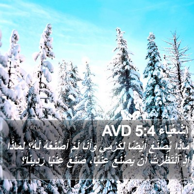إِشَعْيَاءَ 5:4 AVD Bible Verse Image