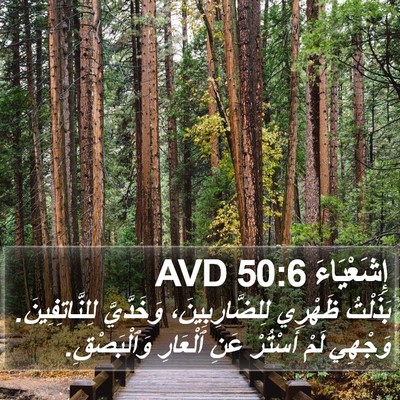 إِشَعْيَاءَ 50:6 AVD Bible Verse Image
