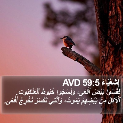 إِشَعْيَاءَ 59:5 AVD Bible Verse Image