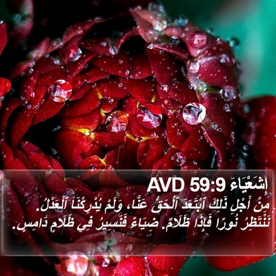 إِشَعْيَاءَ 59:9 AVD Bible Verse Image