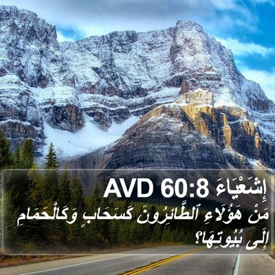 إِشَعْيَاءَ 60:8 AVD Bible Verse Image