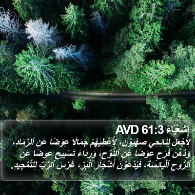 إِشَعْيَاءَ 61:3 AVD Bible Verse Image