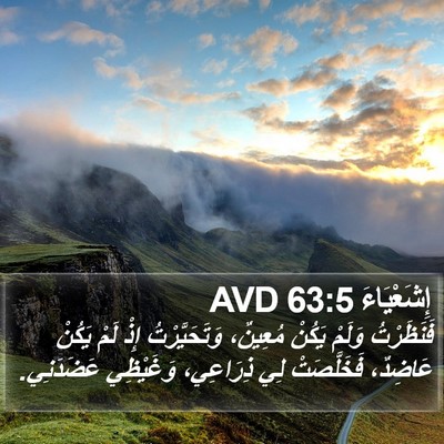 إِشَعْيَاءَ 63:5 AVD Bible Verse Image