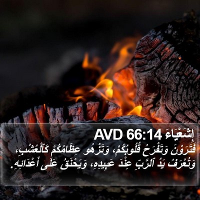 إِشَعْيَاءَ 66:14 AVD Bible Verse Image