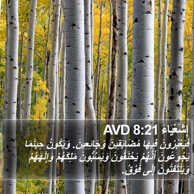 إِشَعْيَاءَ 8:21 AVD Bible Verse Image