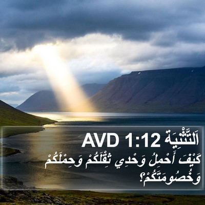 اَلتَّثْنِيَة 1:12 AVD Bible Verse Image