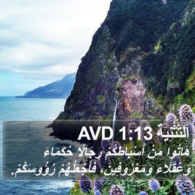 اَلتَّثْنِيَة 1:13 AVD Bible Verse Image