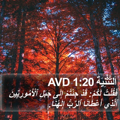 اَلتَّثْنِيَة 1:20 AVD Bible Verse Image
