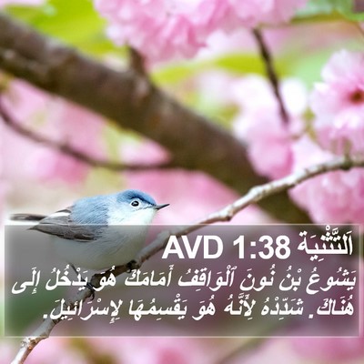 اَلتَّثْنِيَة 1:38 AVD Bible Verse Image