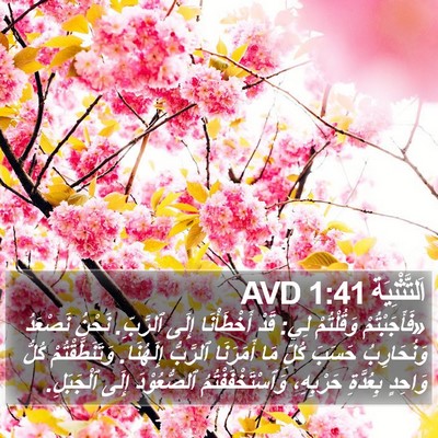 اَلتَّثْنِيَة 1:41 AVD Bible Verse Image