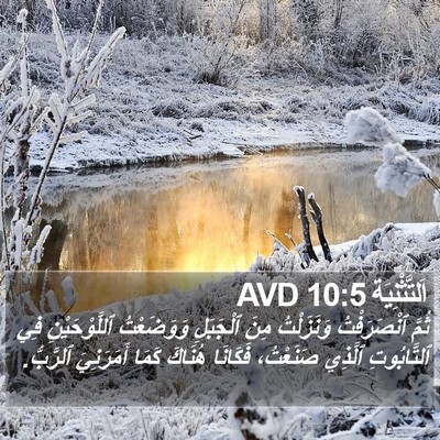 اَلتَّثْنِيَة 10:5 AVD Bible Verse Image