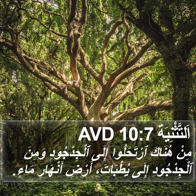 اَلتَّثْنِيَة 10:7 AVD Bible Verse Image