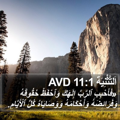 اَلتَّثْنِيَة 11:1 AVD Bible Verse Image