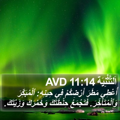 اَلتَّثْنِيَة 11:14 AVD Bible Verse Image