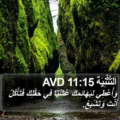 اَلتَّثْنِيَة 11:15 AVD Bible Verse Image