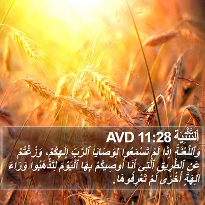 اَلتَّثْنِيَة 11:28 AVD Bible Verse Image