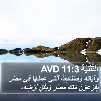 اَلتَّثْنِيَة 11:3 AVD Bible Verse Image