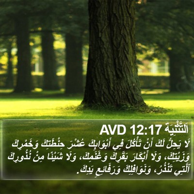 اَلتَّثْنِيَة 12:17 AVD Bible Verse Image