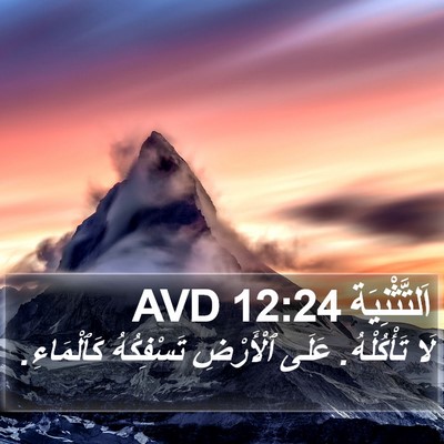 اَلتَّثْنِيَة 12:24 AVD Bible Verse Image