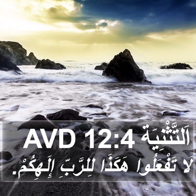 اَلتَّثْنِيَة 12:4 AVD Bible Verse Image