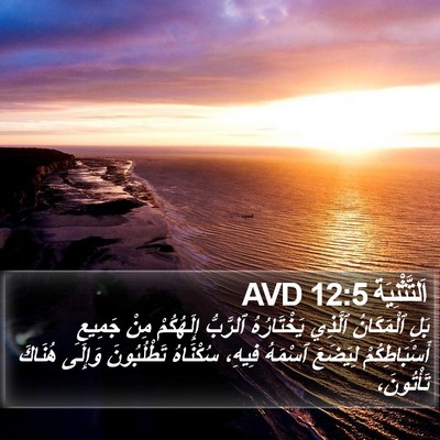 اَلتَّثْنِيَة 12:5 AVD Bible Verse Image