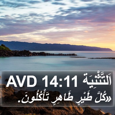 اَلتَّثْنِيَة 14:11 AVD Bible Verse Image