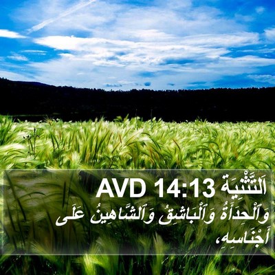 اَلتَّثْنِيَة 14:13 AVD Bible Verse Image