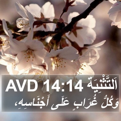 اَلتَّثْنِيَة 14:14 AVD Bible Verse Image
