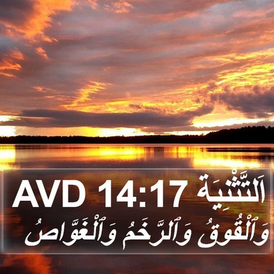 اَلتَّثْنِيَة 14:17 AVD Bible Verse Image