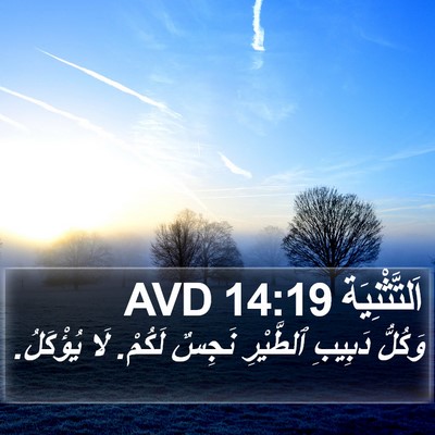 اَلتَّثْنِيَة 14:19 AVD Bible Verse Image