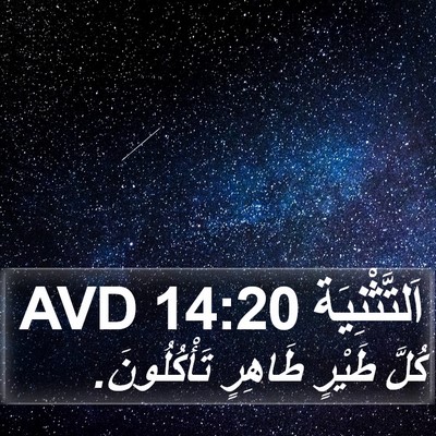 اَلتَّثْنِيَة 14:20 AVD Bible Verse Image
