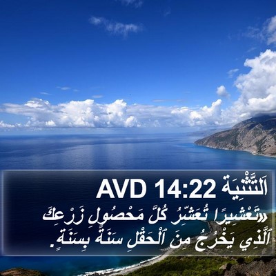 اَلتَّثْنِيَة 14:22 AVD Bible Verse Image