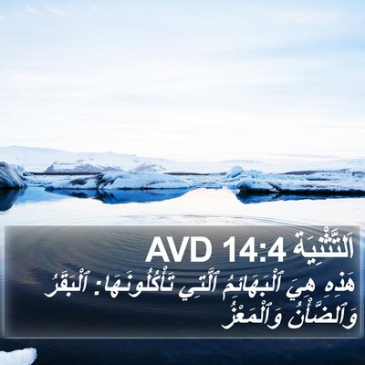 اَلتَّثْنِيَة 14:4 AVD Bible Verse Image