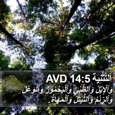 اَلتَّثْنِيَة 14:5 AVD Bible Verse Image