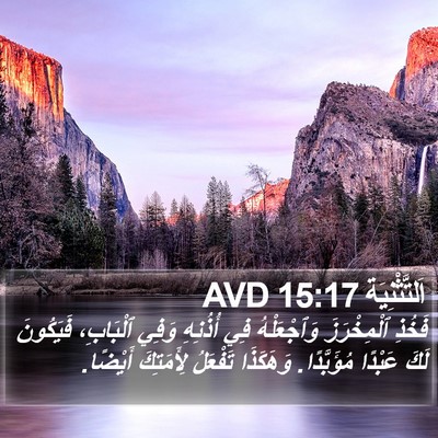 اَلتَّثْنِيَة 15:17 AVD Bible Verse Image