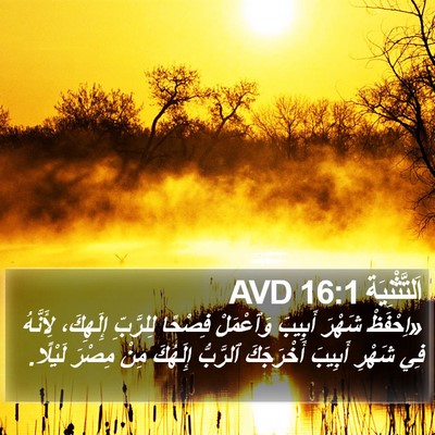اَلتَّثْنِيَة 16:1 AVD Bible Verse Image