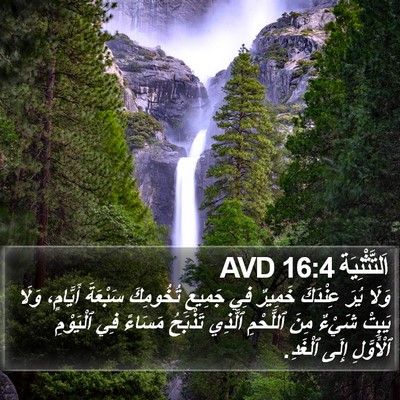 اَلتَّثْنِيَة 16:4 AVD Bible Verse Image