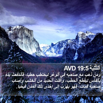 اَلتَّثْنِيَة 19:5 AVD Bible Verse Image