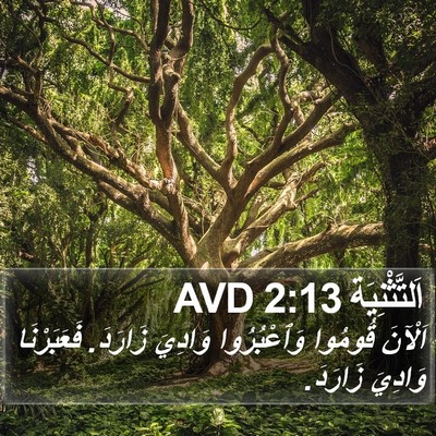 اَلتَّثْنِيَة 2:13 AVD Bible Verse Image
