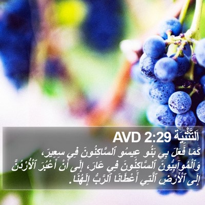 اَلتَّثْنِيَة 2:29 AVD Bible Verse Image