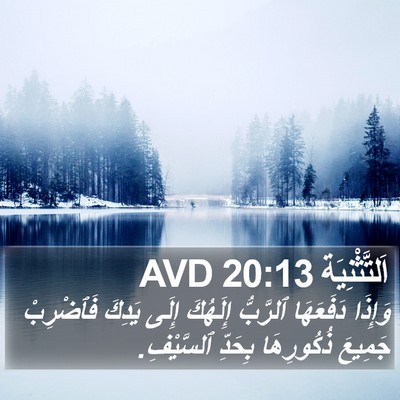 اَلتَّثْنِيَة 20:13 AVD Bible Verse Image